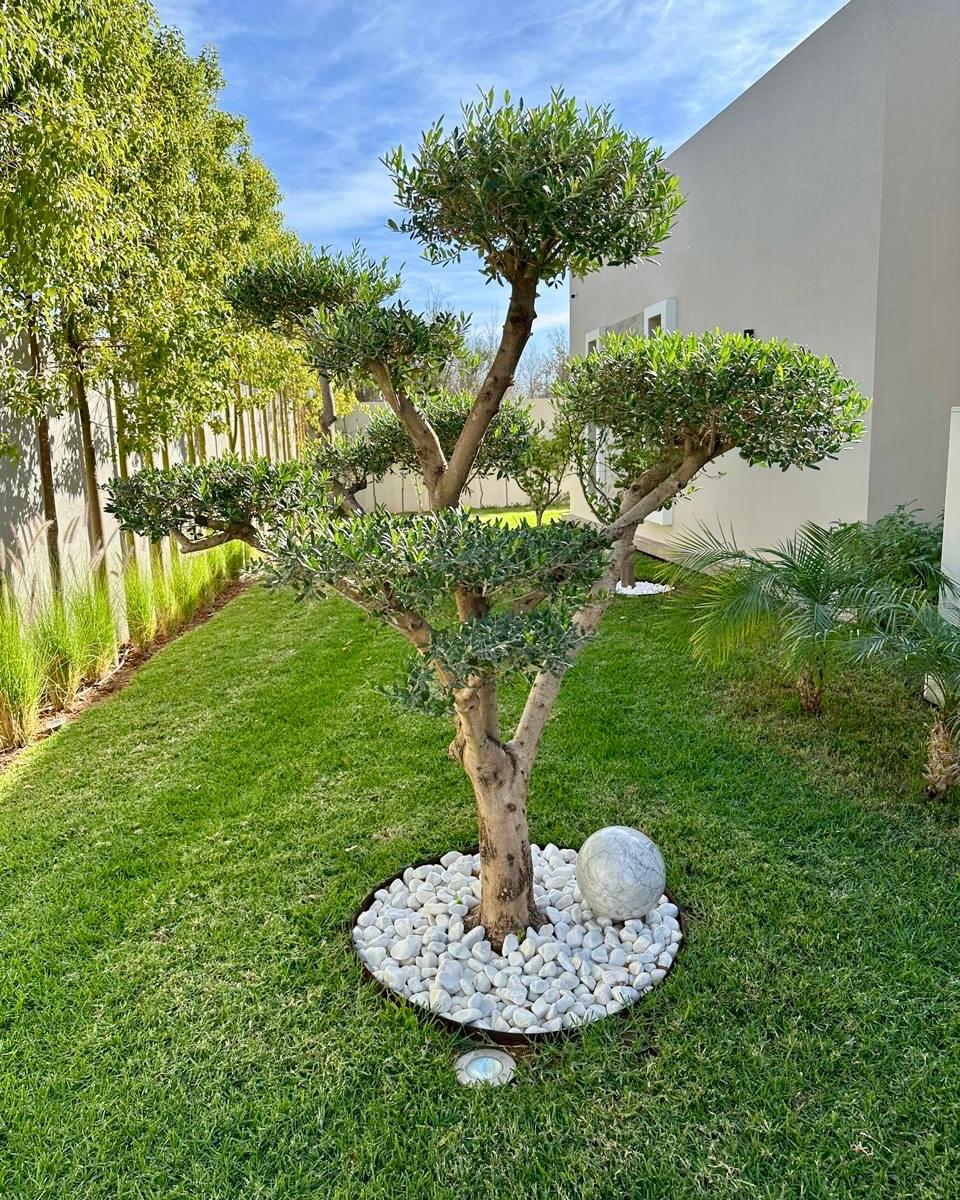 Villa LV — WhatsApp Image 2026-04-11 at 13.41.18 (5).jpeg